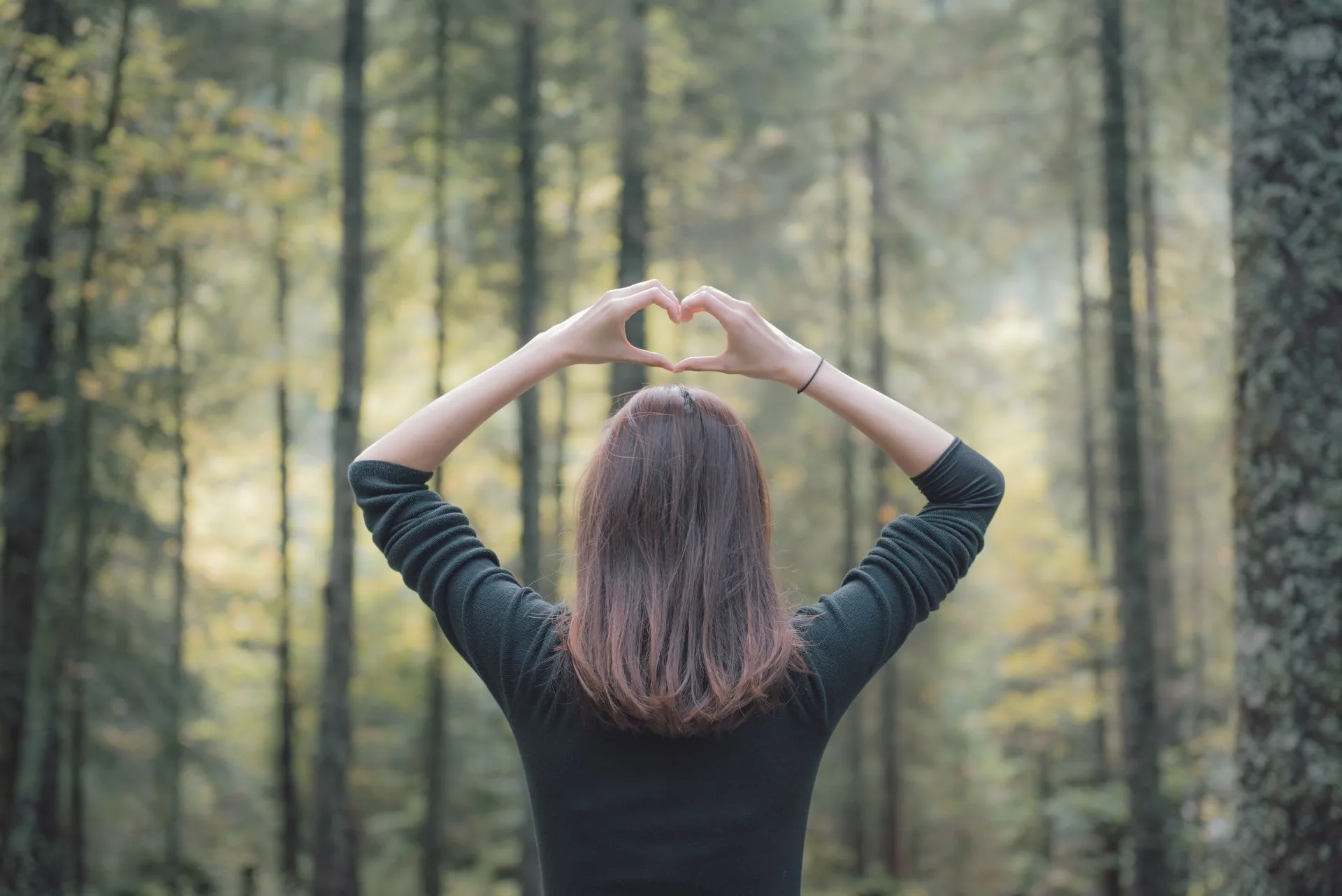 Forest Bathing Could Be The Stress Therapy You Need